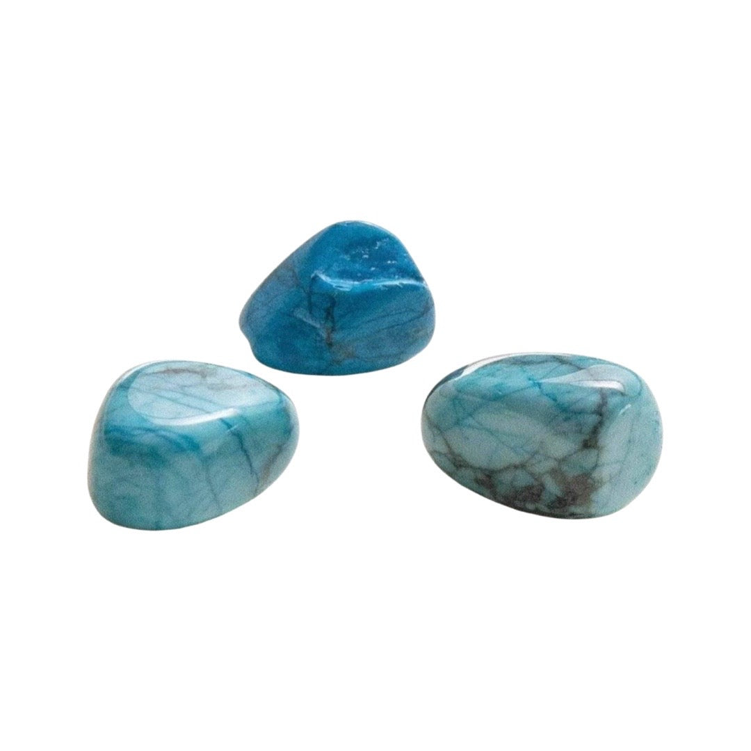 Turquoise Howlite Stone Set